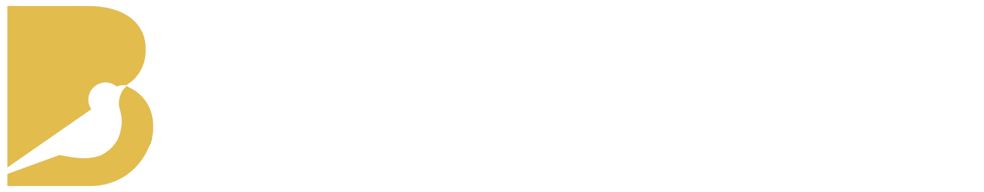 Bager Remodeling