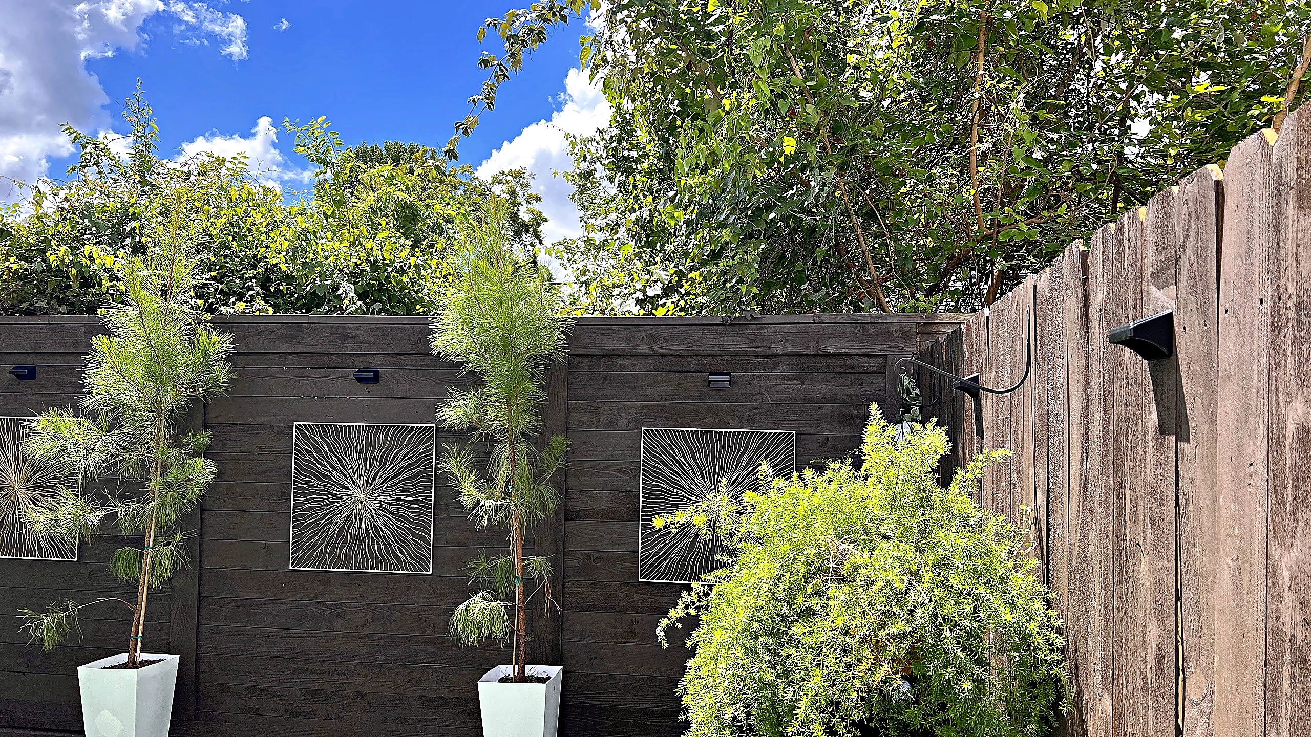 Dark-stained wood privacy fence with sculptural wall panels and paired potted plants in a Spring Valley Village courtyard