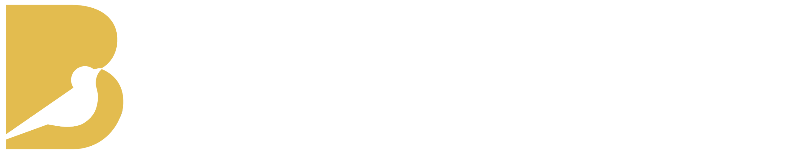 Bager Remodeling logo representing architectural design and luxury residential builds across Greater Houston